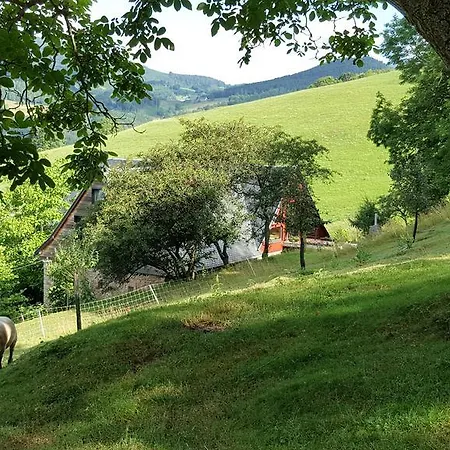 Bed & Breakfast Le Rouge D'hotes De Charme En Alsace *